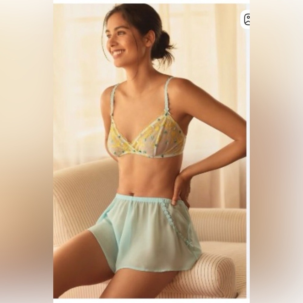 By Anthropologie embroidered Tap Shorts Size XL NWT blue sheer Valentine’s Day